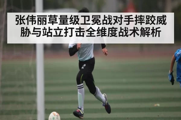 张伟丽草量级卫冕战对手摔跤威胁与站立打击全维度战术解析